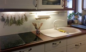 Glasfliesenspiegel : Küchenrückwand mit Einzelmotiv und lackierter Rückseite