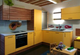 Küchenglasrückwände mit Einzelmotiven und lackierter Rückseite